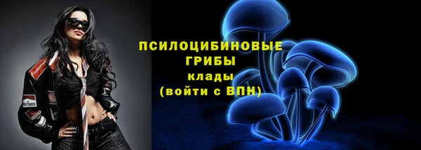 марки lsd Белокуриха