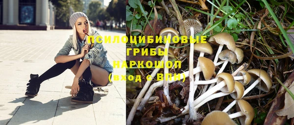 марки lsd Белокуриха