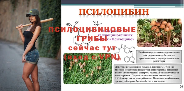 марки lsd Белокуриха