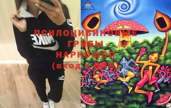 марки lsd Белокуриха