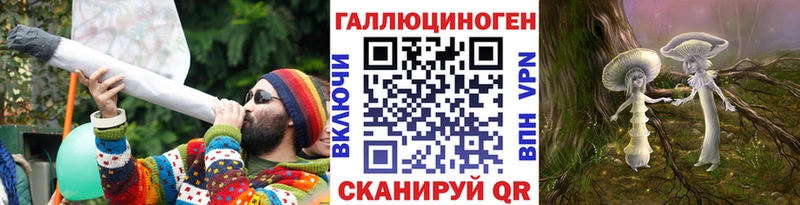 купить  сайты  Курильск  Галлюциногенные грибы Psilocybe 